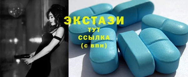 мдпв Богородицк