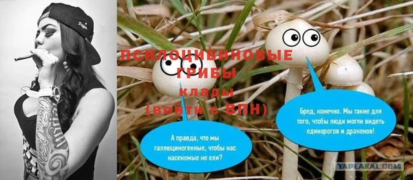 мяу мяу кристалл Богданович