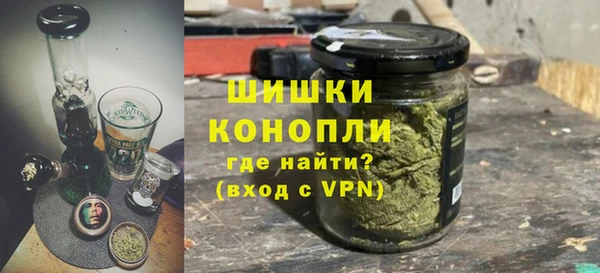крисы Богородск