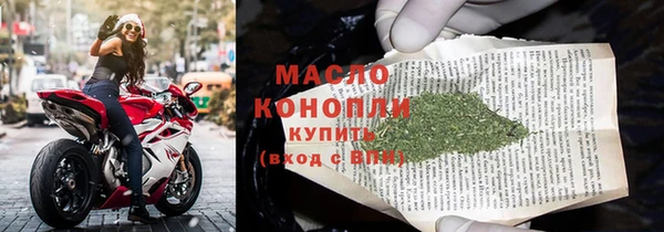 мдпв Богородицк
