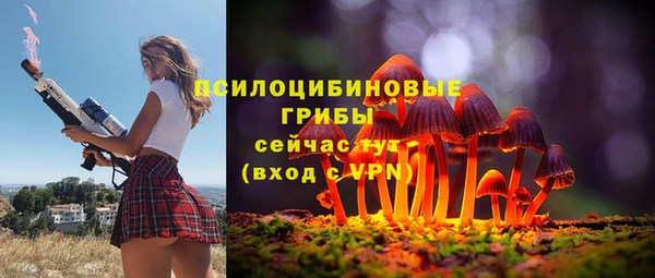мяу мяу кристалл Богданович