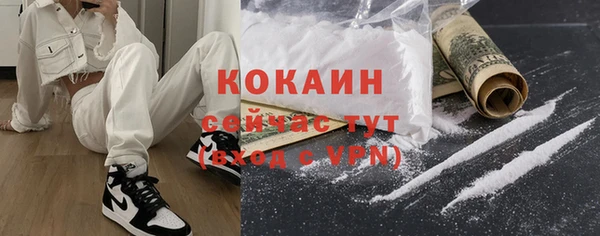 мдпв Богородицк