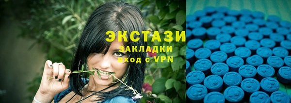 мдпв Богородицк