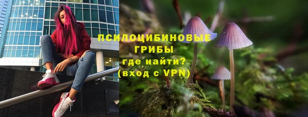 крисы Богородск