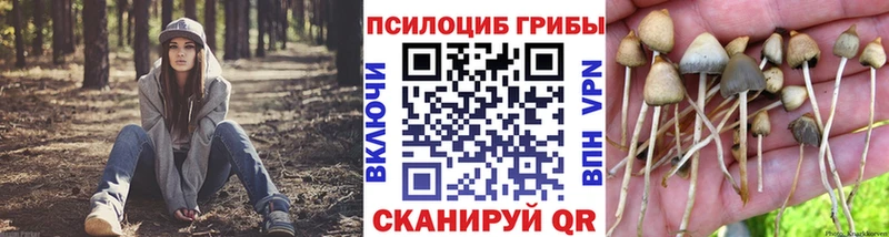 Галлюциногенные грибы мухоморы  Ессентуки 