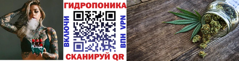 Шишки марихуана VHQ  закладка  маркетплейс наркотические препараты  Ессентуки 